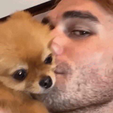 giphy.gif?cid=5e21488652a2e2d2c4177b082d