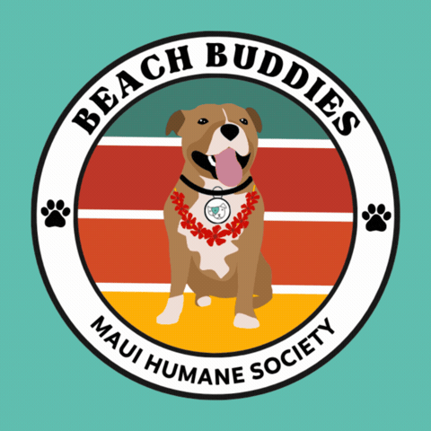 Mhs GIF by maui humane society