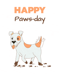 Dog Birthday Gifs Get The Best Gif On Giphy Dog Birthday Gifs Get The Best Gif On Giphy