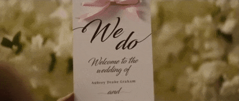 Drake We Do GIF by Republic Records