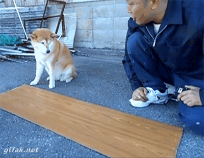 Measuring Tape GIFs - Get the best GIF on GIPHY