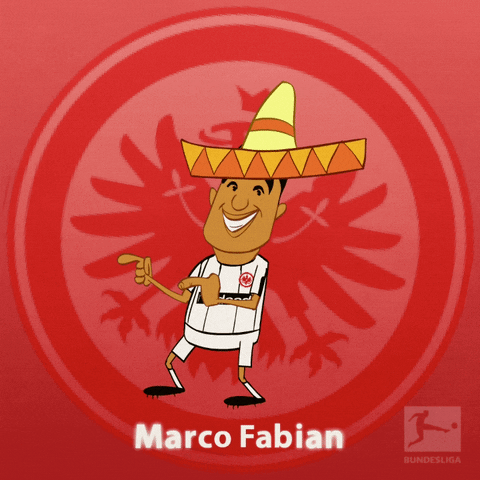happy marco fabian GIF by Bundesliga