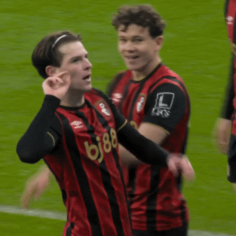 Happy Premier League Football GIF by AFC Bournemouth