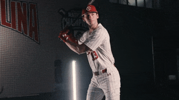 South Carolina Baseball GIF by gamecocksonline