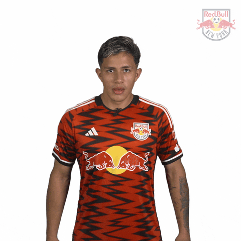 Vamos Lets Go GIF by New York Red Bulls