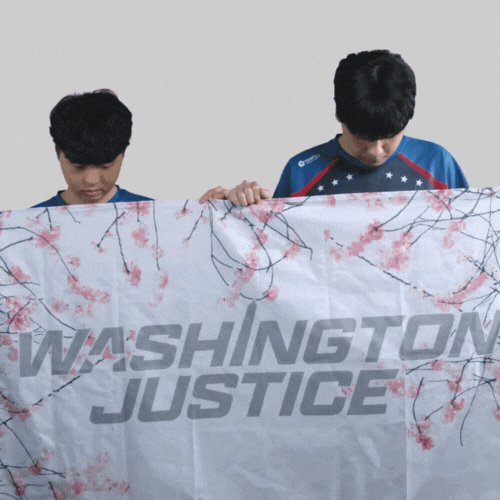 Video Games Esports GIF by Washington Justice