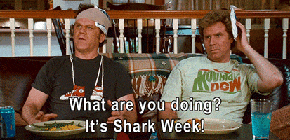 step brothers funny movie GIF by The Good Films