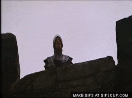 Monty Python GIFs - Find & Share on GIPHY