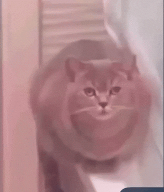 Analgin GIF
