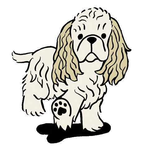 American Cocker Spaniel Dog Sticker by うちクリ