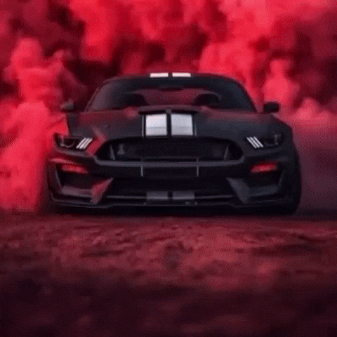 8Milekw GIF