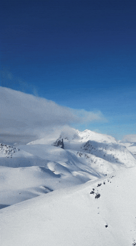 Splitboarding GIF by MINT Snowboarding