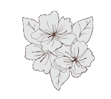 WonderFloral Sticker