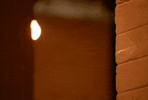 Happy Happiness GIF