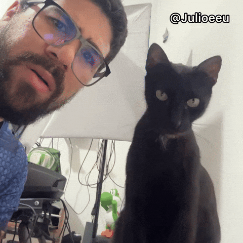 Cat Watching GIF