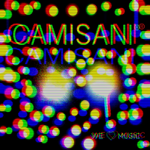 GIF by camisanidjs