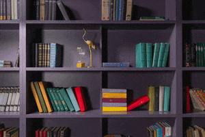 Books GIF