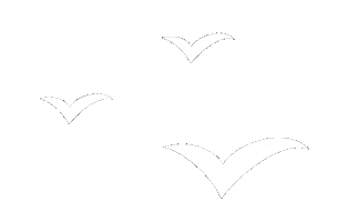 Birds Mouettes Sticker by Rue des Arts