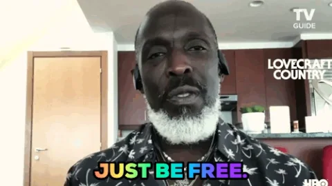 Be Free The Wire GIF by TV Guide