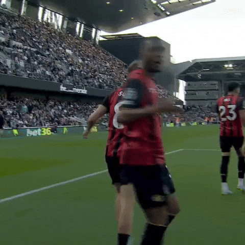 Happy Premier League GIF by AFC Bournemouth