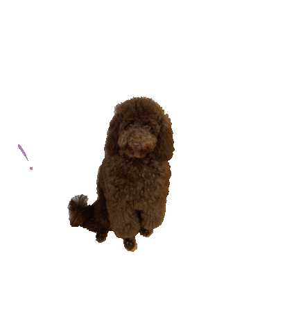 Пушистыйштрудель Sticker