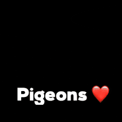 Theahrsch GIF by Thea