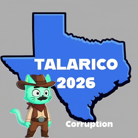 Texas Talarico GIF by Hero Galaxy NFT
