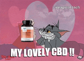 Tom And Jerry Love GIF by Imaginal Biotech