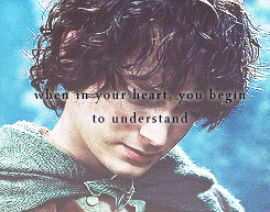 frodo baggins