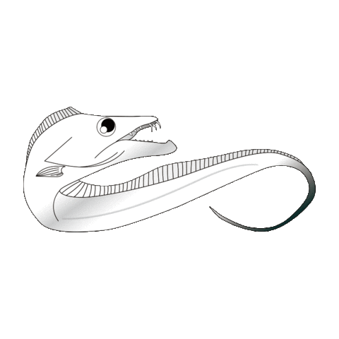 Fish 魚 Sticker by magbite