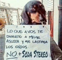 Soda Stereo Argentina GIF