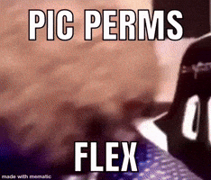 Slokied GIF