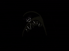 Beckum Rumskedi Schwarzerkater Rumskedikater GIF