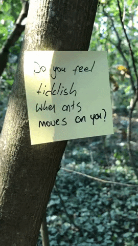 Forest Workshop GIF by NEEEU Spaces GmbH