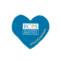 Heart Selfie Sticker by theRCVS