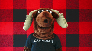 Canadian Shrug GIF by choose.ca