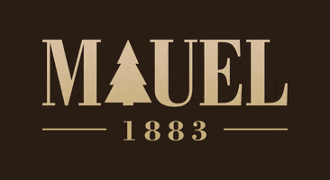 Logo Winter GIF by MAUEL 1883