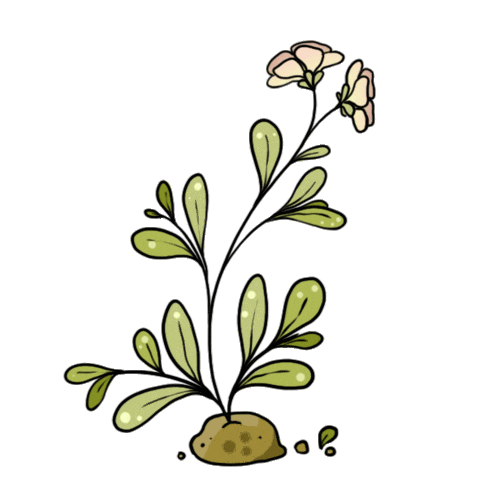 Nature Sticker