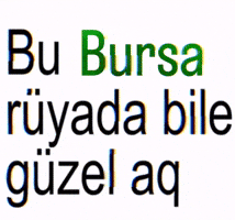 Bursa GIF