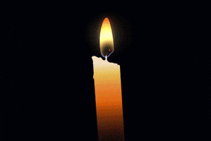 Candles Birthday GIF by 100Thanks