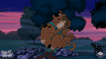 Scared Scooby Doo GIF by Boomerang Official