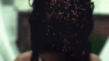 200.gif?cid=fc005b085bfbada9fb13852995e4887a35f833957ab10e23&rid=200.gif&ct=g