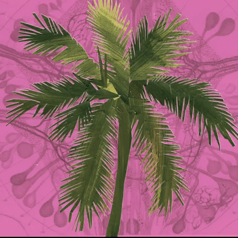 palm tree glitch GIF