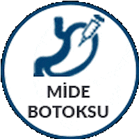 Alo Obesity Treatment Center Sticker