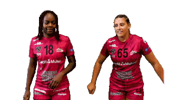 Handball Lfh Sticker by hbcam