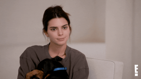 Kendall Jenner Reaction GIF by E!