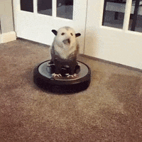 Mood Roomba GIF by JustViral.Net