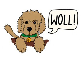 Anton Goldendoodle GIF by WOLL Magazin