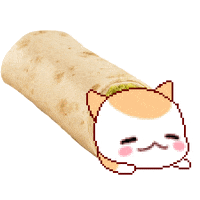 cat kawaii burrito burrito cat