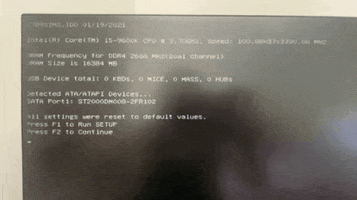 Animated GIF